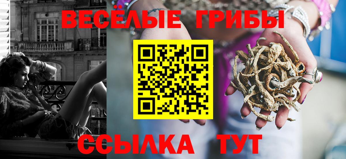 где найти   Галлюциногенные грибы мицелий  Вход с VPN  Псилоцибиновые грибы MAGIC MUSHROOMS  Маркс 